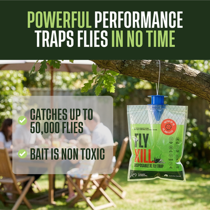 FLYKILL XL Disposable Fly Traps