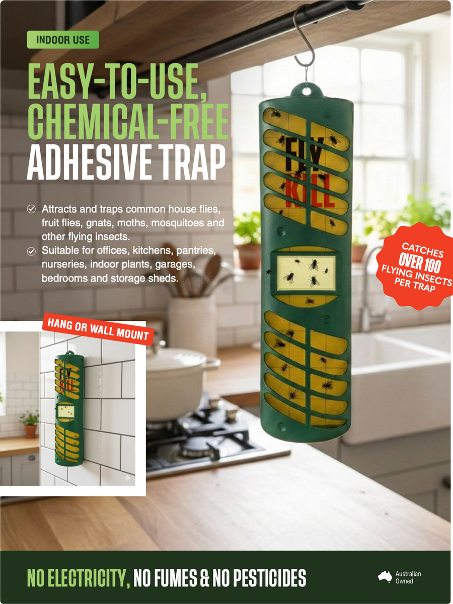 FLYKILL Indoor Sticky Traps - Kits